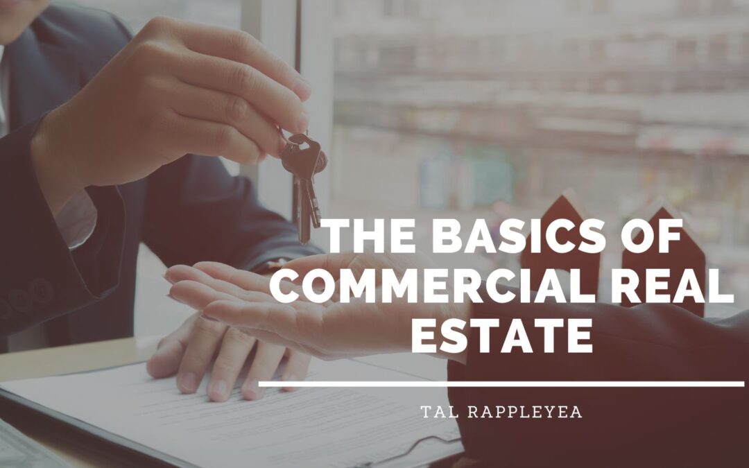 The Basics of Commercial Real Estate